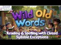 Fundations Mastering Closed Syllable Exceptions ild ind old olt ost Teaching Reading