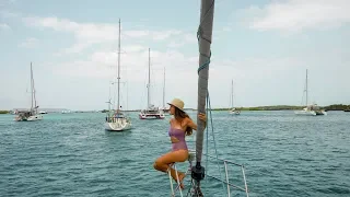 MERGULHO COM TUBARÕES : O Melhor Presente de Aniversário – Unforgettable Sailing (Ep.95)