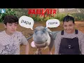 Download Lagu विवान बना पापा और गर्लफ्रेंड बनी डायनासोर की मम्मी || Baalveer Returns