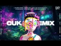 Download Lagu Playlist Nhạc Remix Chào Ngày Mới Giúp Bạn Tập Trung Học Bài Và Làm Việc - Nhạc Remix TikTok 2025