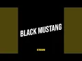 Download Lagu Black Mustang