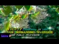 KVCR-TV Station ID Tree with flowers 1987