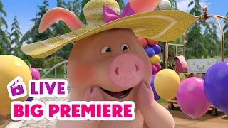 LIVE 🔴 Masha en de Beer 💥 BIG PREMIERE 💥 Welkom bij Hotel Comfort 🐷🛎️🏡 Masha and the Bear