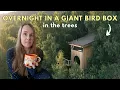 Download Lagu Overnachten in een gigantische vogelhuisjeshut in Noorwegen