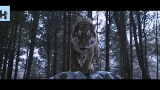 شاهد اكبر نمر في العالم النمر الذي قتل اكتر من ٢٠٠٠جندي 