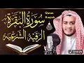 Lagu Best recitation of Surah Al Baqarah by ALAA AQEL