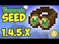 Terraria how to get STEAMPUNK GOGGLES fast NEW SEED for 1 4 5 6 NO DIG 2026