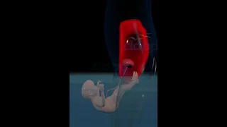 Miracle Of Water Birth Education Everyone 