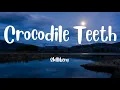 Skillibeng - Crocodile Teeth (lyrics)