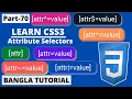 CSS Attribute Selectors In Bangla Part-70 CSS3 Bangla Tutorial