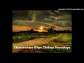 Download Lagu Chinnanchiru Kiliye Chithira Poovizhiye