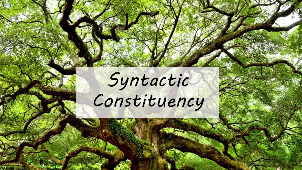 Syntactic Constituency