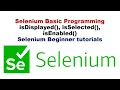 How to Verify Visibility of Element Difference isDisplayed isSelected isEnabled in Selenium