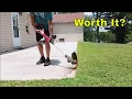 Craftsman 20V Cordless Trimmer Weed Wacker Review