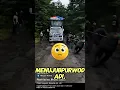 Download Lagu Viral! Truk Madura Wahyu Abadi Tersesat di Hutan Blora 😱#trukoleng #viral #shortvideo #wahyuabadi