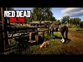 RDO Livestream 2026