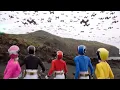 Download Lagu End Game | Megaforce | Full Episode | S20 | E20 | Power Rangers Official