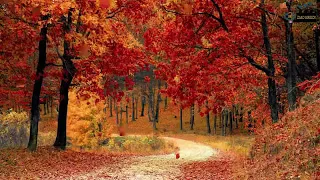 MUSIQUE RELAXANTE DOUCE DOUCEURS D AUTOMNE PIANO 