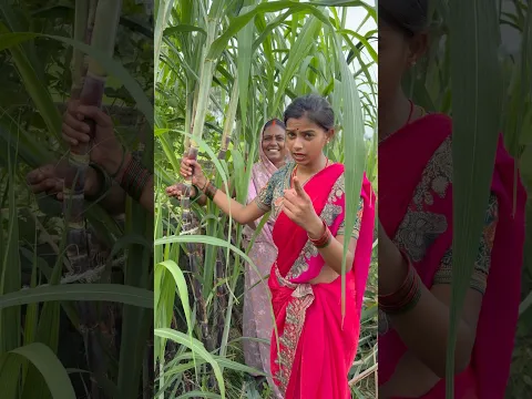प्रिया क्या बोल रही है आप लोगों से #shorts #shortvideo #amarnathsdk