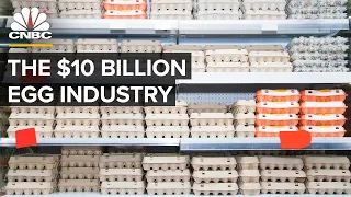 who makes money from eggs