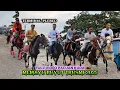 Lagu Full Video Latihan Pacuan Kuda Memayu buyut Trusmi 2025‼️Terminal plered Cirebon