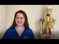 Jessica Mai Licensed Massage Therapist in Cary NC