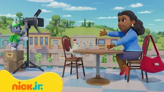 מפרץ ההרפתקאות 🐾: פיל לכוד | ניק ג'וניור