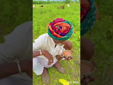 देसी घी और राजस्थानी पीढी 😍 #rajasthan #routine #work #village #work #desi #rajasthanilife