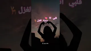 فيكي جمال الدنيا دي الشامي وتامر حسني حملة توصيل القناة 100 ألف مشترك تصميمي 