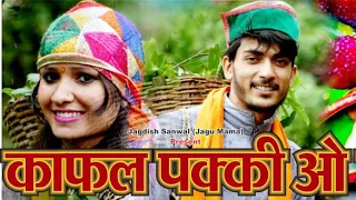 kafal pakee o gaye jagdish sanwal shalu dhiman latest pahari song 2020