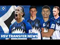 Download Lagu HSV TRANSFER News! Yussuf Poulsen, Nicolás Capaldo, Königsdörffer, Matheo Raab, Torunarigha, Jatta