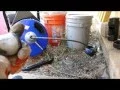 Electric Drain Snakes Home Depot Rental vs Harbor Freight Tools HFT Item 68285 61856