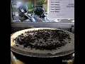 Download Lagu Crepes coklat