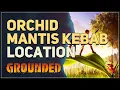 Orchid Mantis Kebab Location Grounded
