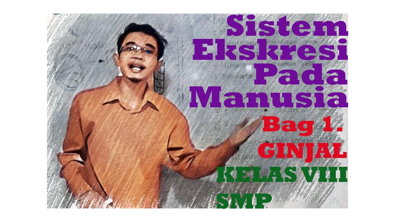 
          
          
          
            
            Sistem Ekskresi Pada Manusia | Ginjal | IPA Kelas VIII SMP
          
        . 