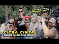 Download Lagu SUARA RIAN BIKIN JATUH HATI..!! CITRA CINTA VERSI DANGDUT JALANAN LOMBOK IRAMA DOPANG
