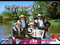 LOS DINAMICOS DEL NORTE AMIGOS TUVE UNA NOVIA