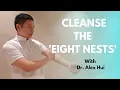 Tapping The Eight Nests - Simple Way to Get Rid of Toxins