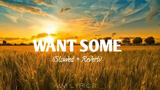 Want Some (Slowed + Reverb) || Jasmin Walia || Slowed + Reverb By A.M lyrics