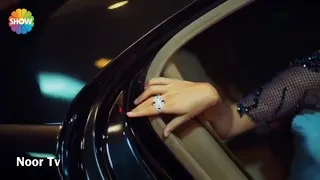 اليسا بتمون حياة مراد 