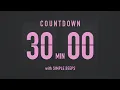 Lagu 30 Minute Countdown Timer ⏳ Flip Clock with Simple Beeps 💕🖤