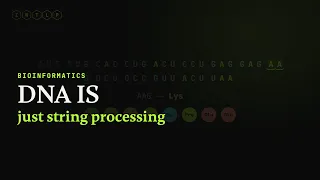 I Decoded a Gene in Pure Python DNA to protein from scratch