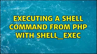 Unix Linux Executing a shell command from PHP with shell - exec 4 Solutions