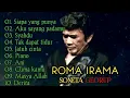 Download Lagu Full Album 10 lagu terbaik RHOMA IRAMA, Tanpa iklan