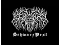 Download Lagu Schwarz Pest (Band Promo)