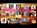 『サンセット・メモリー』（Vo:杉村尚美さん）Liveﾊﾞｰｼﾞｮﾝ（字幕）