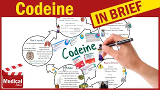 Codeine Phosphate What Is Codeine Used For Codeine Uses Dosage Side Effects Precautions 