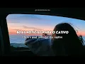 Jubilee - feat. Naomi Raine & Bryan & Katie Torwalt (Tradução/Legendado)