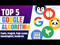 Top 5 Google Algorithms Related To SEO Panda Penguin Hummingbird Page Layout RankBrain