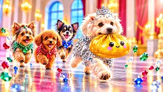 Emerald, Ruby, Diamond and Sapphire Puppy! We Got New Pets at Home